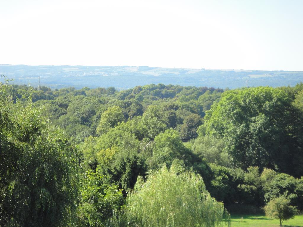 Relax @ Maison Sax Oppagne Bagian luar foto
